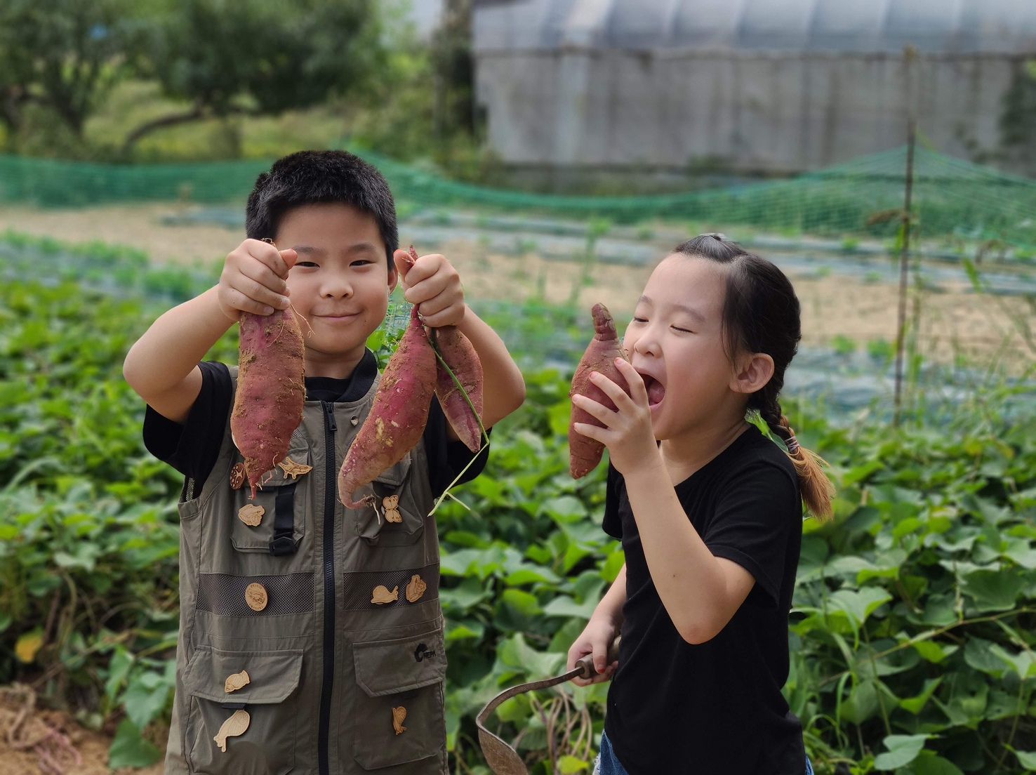 에코코인협동조합 사진