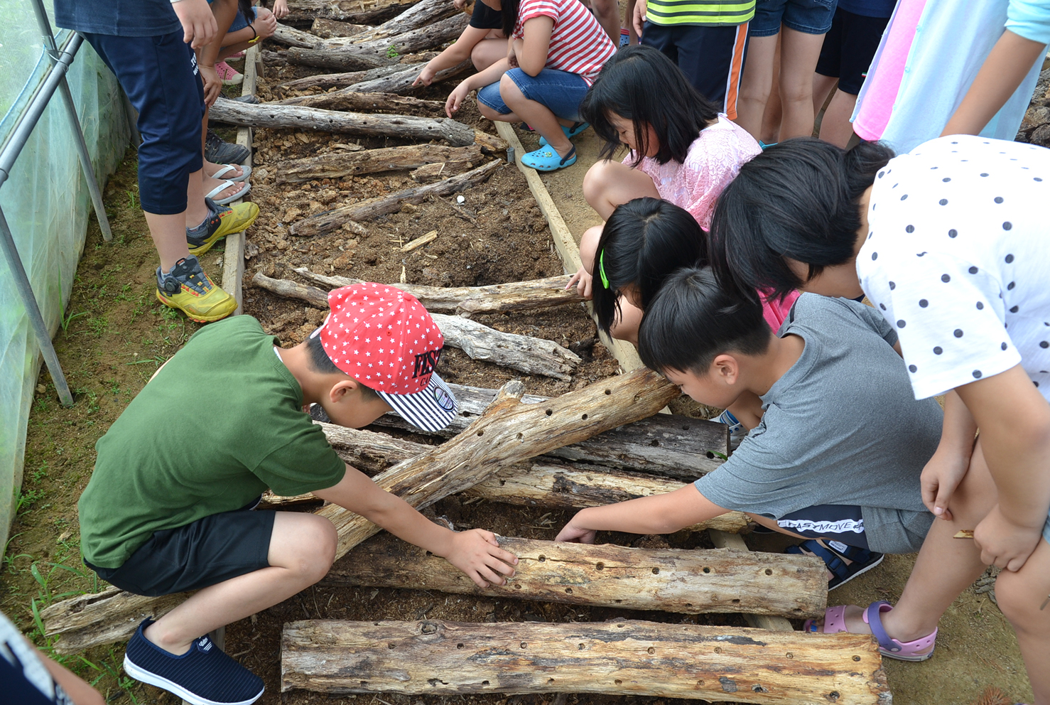 지속 가능한 라이프스타일 확산